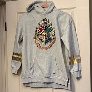 H&M Kids Light Gray Hoodie with Metallic Gold Sleeve Stripes and Crest